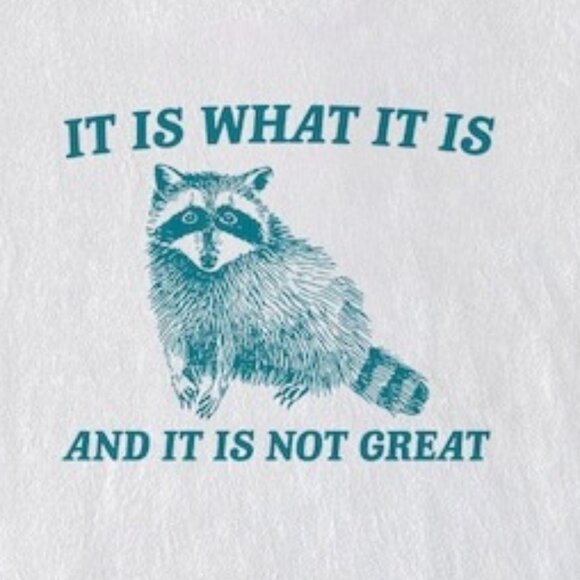 It Is What It Is Not Great Raccoon Meme Funny Vintage T-Shirt 81 - Picture 2 of 5